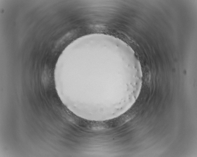 X0000062900618200602031834