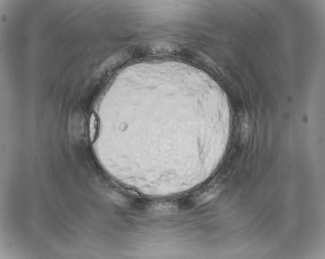 X0000062900619200602031834