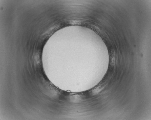 X0000062900620200602031834