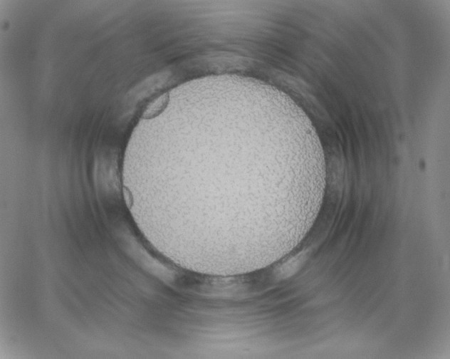 X0000062900622200602031833