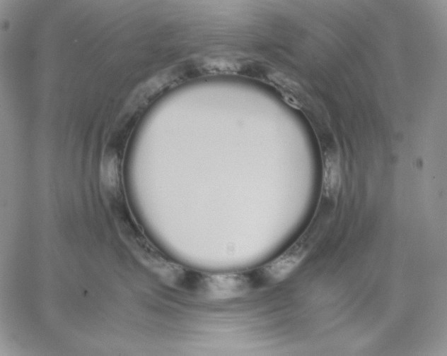 X0000062900623200602031833