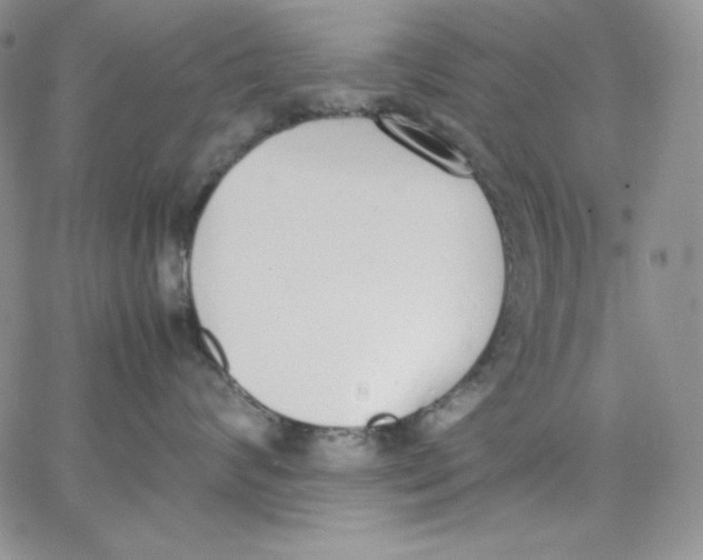 X0000062900624200602031833