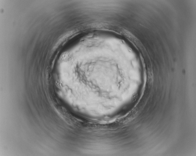 X0000062900626200602031833