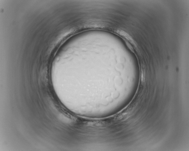 X0000062900627200602031833