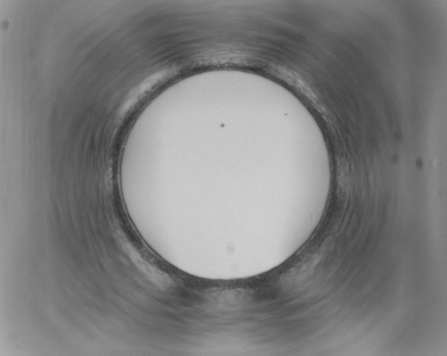 X0000062900629200602031833