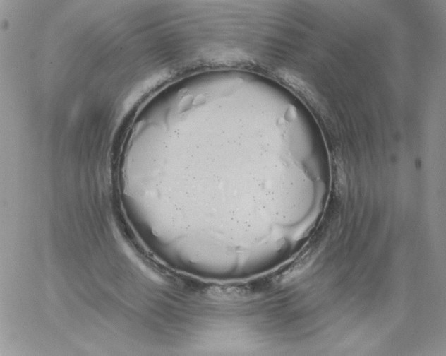 X0000062900630200602031833