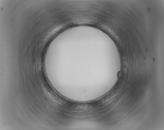 X0000062900631200602031833