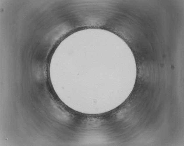 X0000062900632200602031833