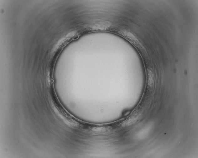 X0000062900634200602031833