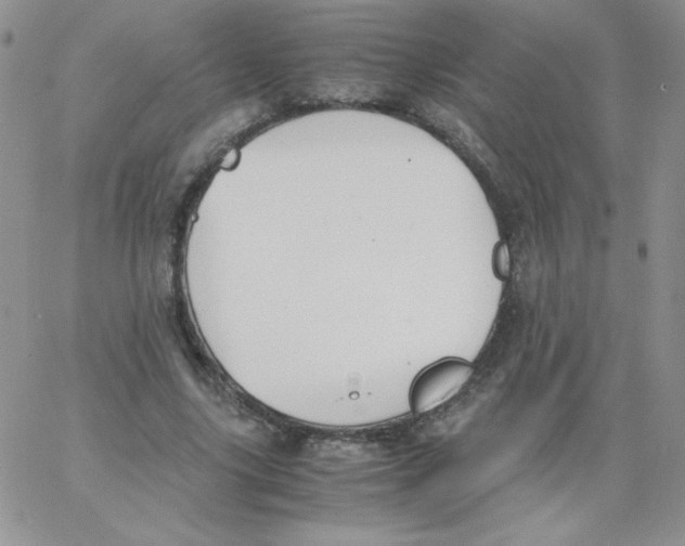 X0000062900635200602031833