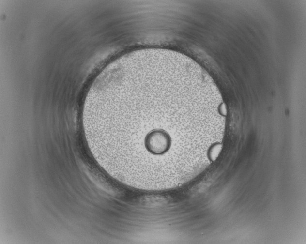 X0000062900636200602031833