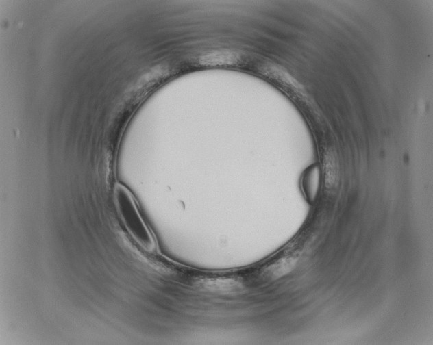 X0000062900637200602031833