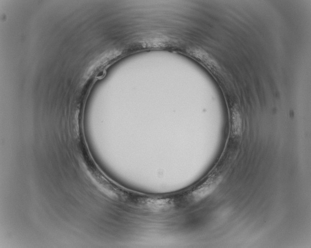 X0000062900638200602031833