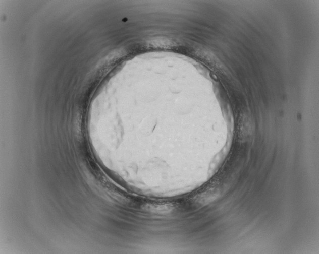 X0000062900639200602031833