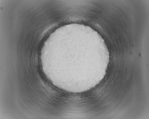 X0000062900640200602031833