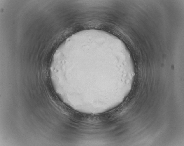 X0000062900641200602031833