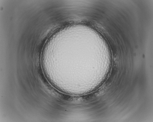 X0000062900642200602031833