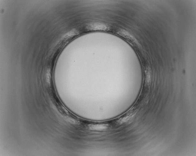 X0000062900643200602031833