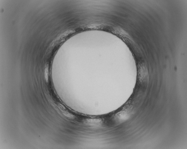 X0000062900644200602031833