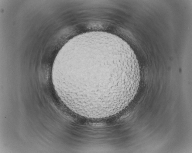 X0000062900645200602031833