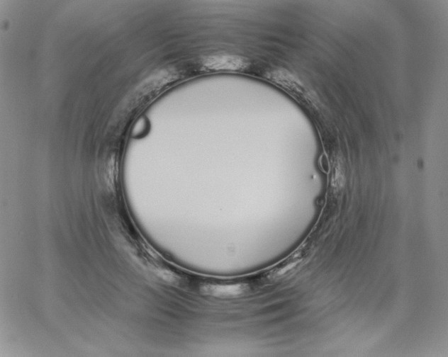 X0000062900647200602031833