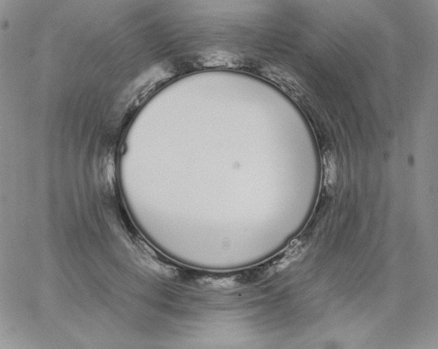 X0000062900648200602031833