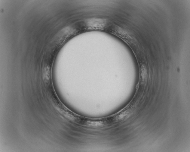 X0000062900649200602031833