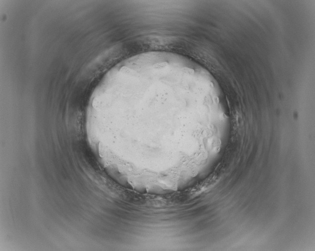 X0000062900650200602031833