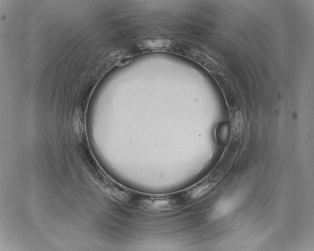 X0000062900651200602031833