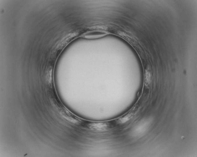 X0000062900652200602031833