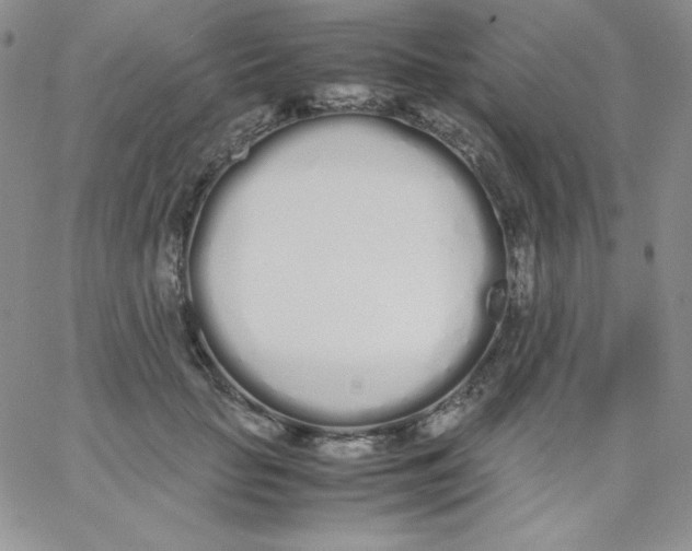 X0000062900653200602031833