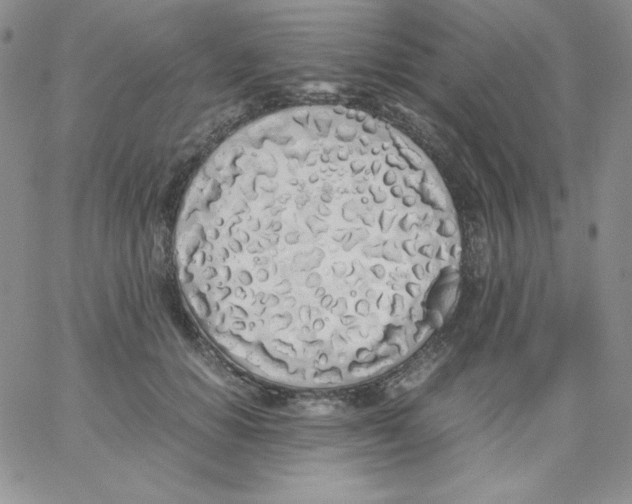 X0000062900654200602031833