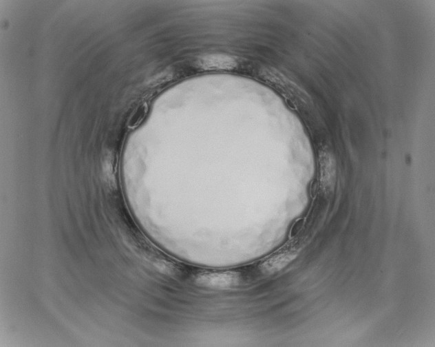 X0000062900655200602031833