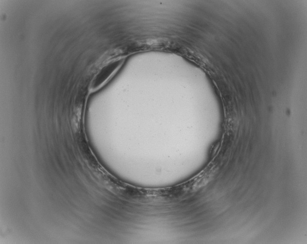 X0000062900656200602031833