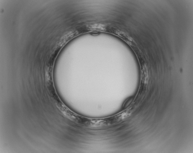 X0000062900658200602031833