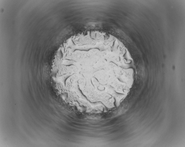 X0000062900659200602031833