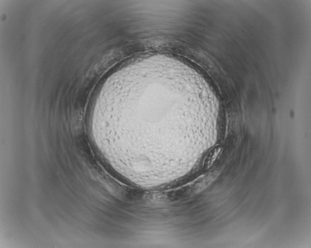 X0000062900660200602031833