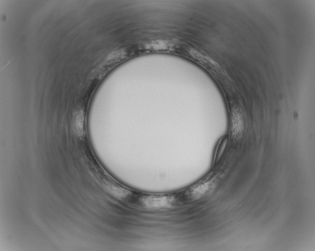 X0000062900661200602031833