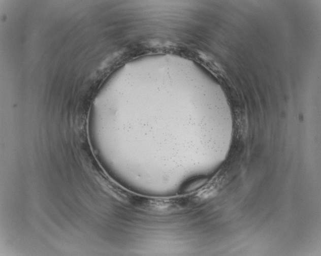 X0000062900662200602031833