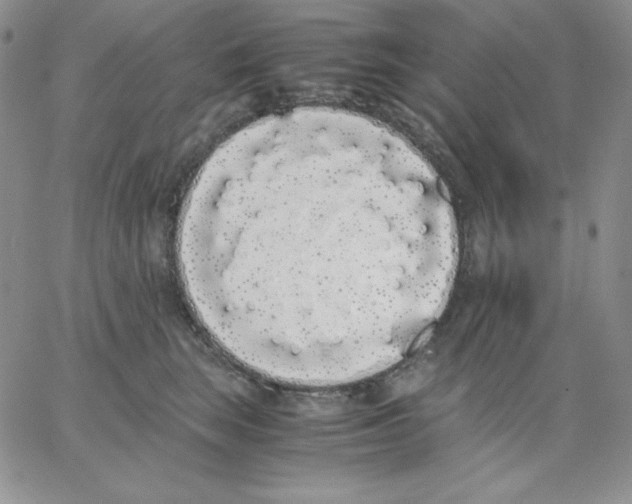 X0000062900663200602031833