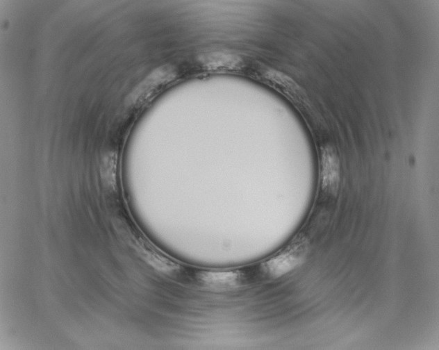 X0000062900664200602031833