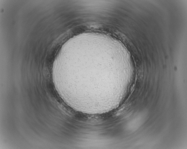 X0000062900666200602031833