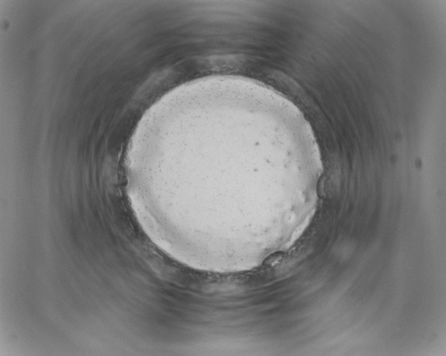 X0000062900667200602031833