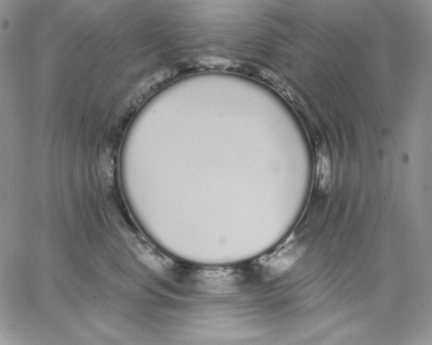 X0000062900668200602031833