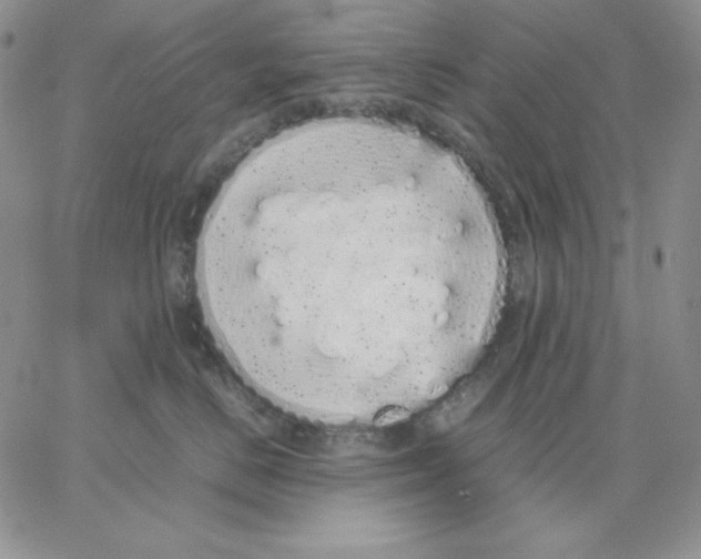 X0000062900670200602031833