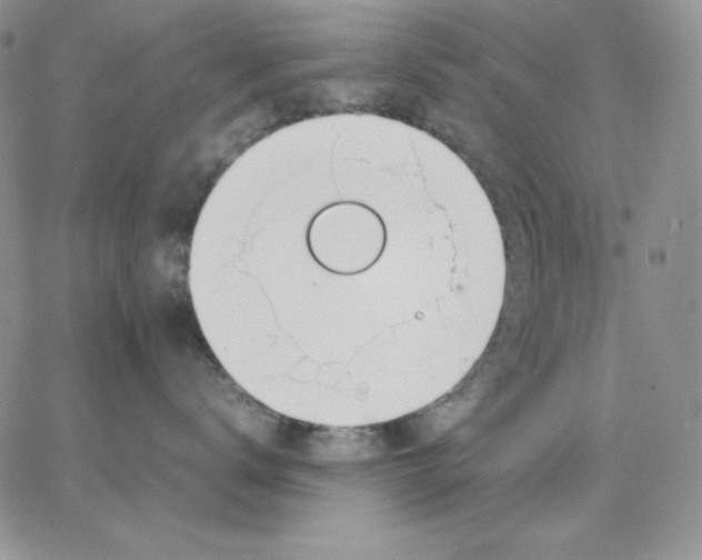 X0000062900672200602031833