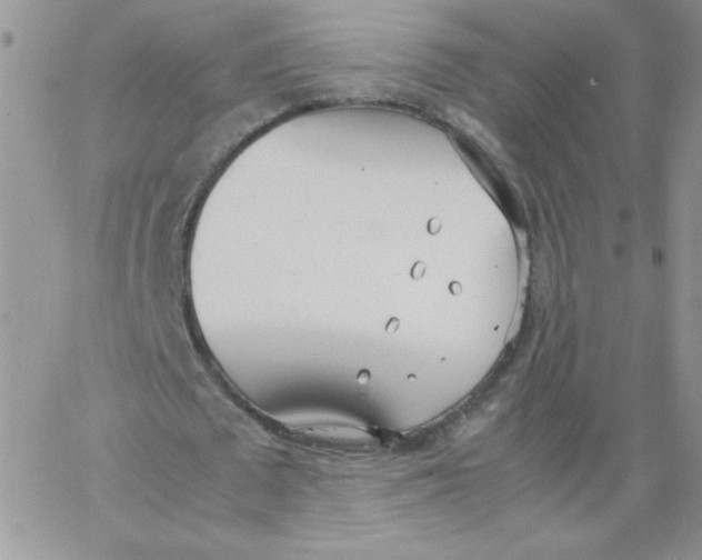 X0000062900673200602031833