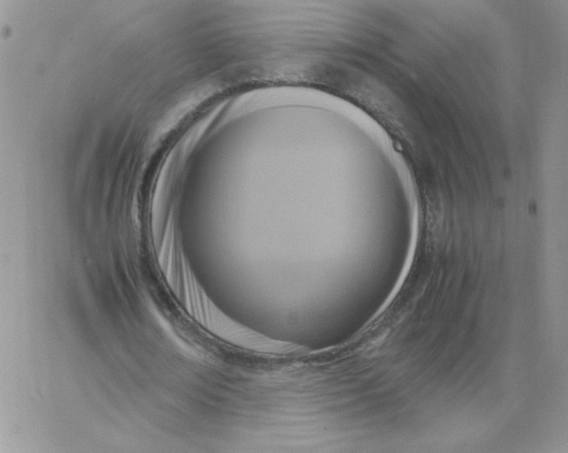 X0000062900674200602031833