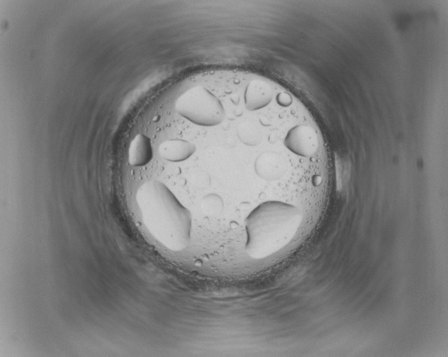 X0000062900675200602031833