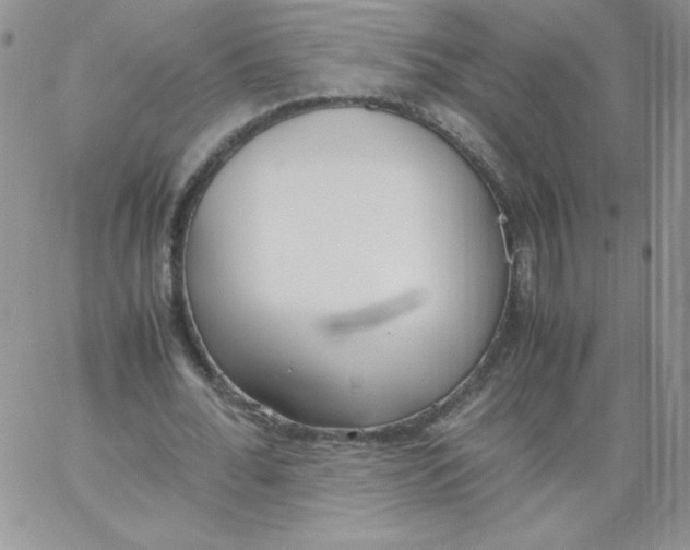 X0000062900676200602031833